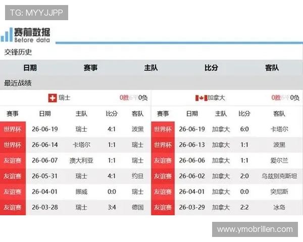 世界杯波黑对阵卡塔尔比赛详细数据表全面解析与赛况分析